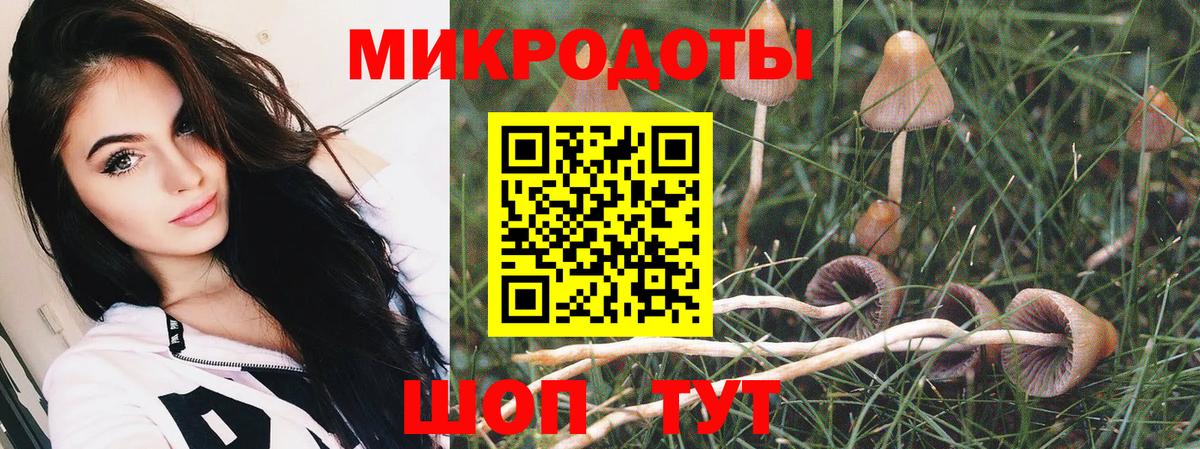 Анжеро-Судженск  Псилоцибиновые грибы Psilocybine cubensis  Вход с VPN 