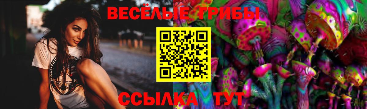 Псилоцибиновые грибы мухоморы Анжеро-Судженск